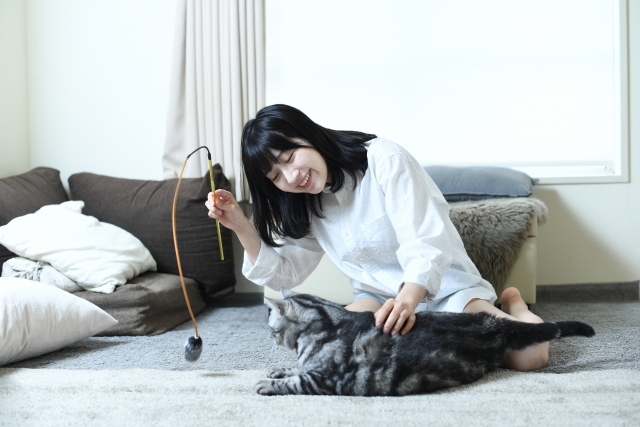 阪急沿線で猫と暮らす一人暮らし｜ペット可賃貸の選び方と注意点